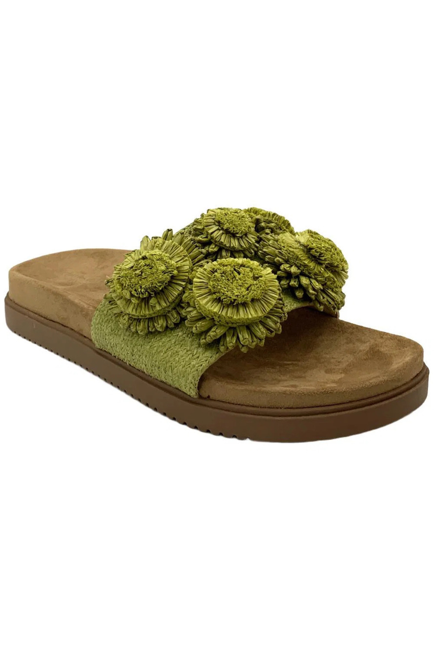 Charles by Charles David Palms Pompom Slide Sandal Green - Medium